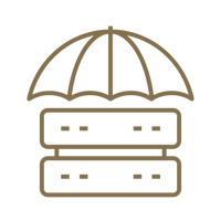 cyber insurance icon